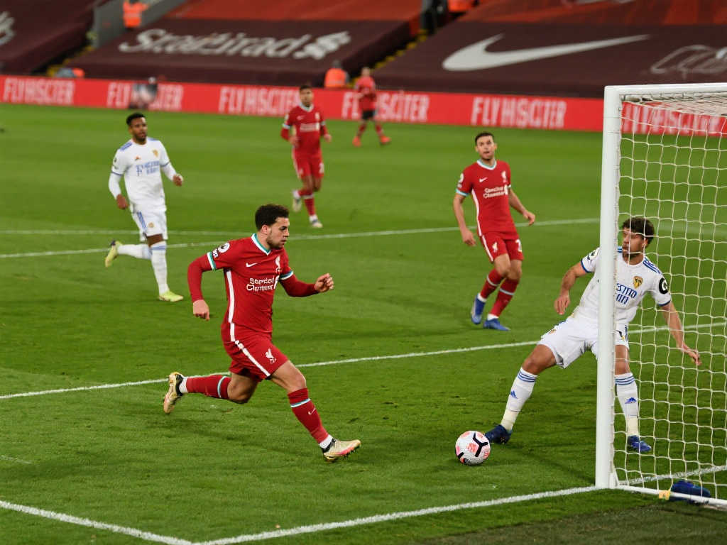 迷的关注 迷的关注