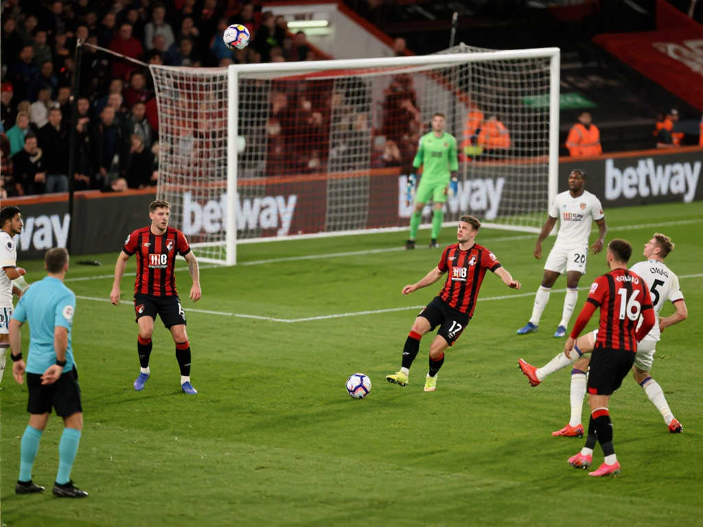 发挥了至关 发挥了至关