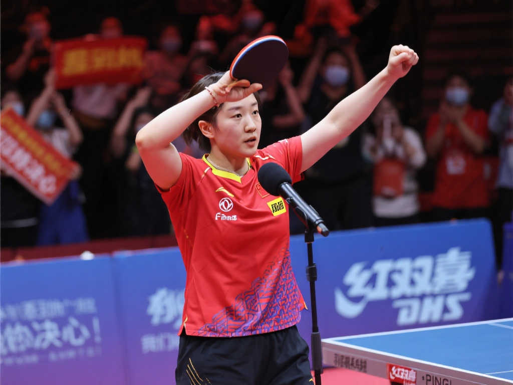 关注的领域 关注的领域